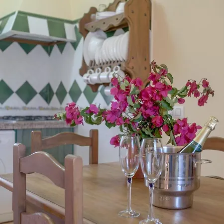 Hébergement de vacances Casa Buganvilla *